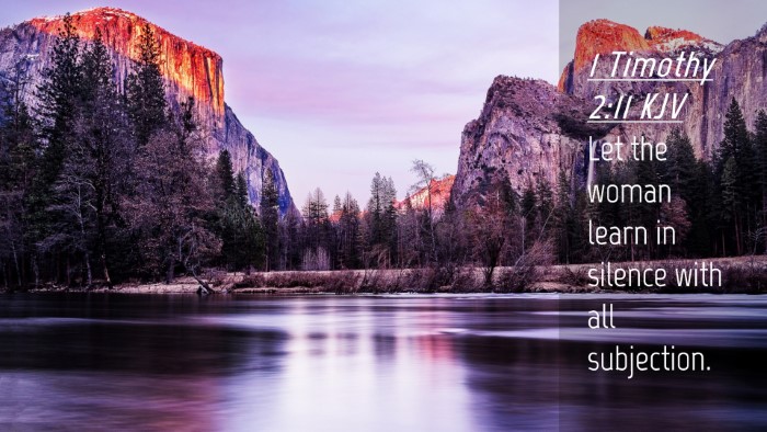 Picture 04 - 1 Timothy 2:11 KJV Desktop Wallpaper - Let the woman learn in silence with all - Desktop Bible Verse Wallpaper