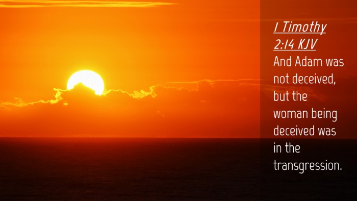 Picture 04 - 1 Timothy 2:14 KJV Desktop Wallpaper - And Adam was not deceived, but the woman being - Desktop Bible Verse Wallpaper