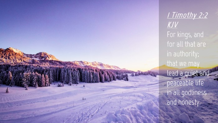Picture 04 - 1 Timothy 2:2 KJV Desktop Wallpaper - For kings, and for all that are in authority; - Desktop Bible Verse Wallpaper