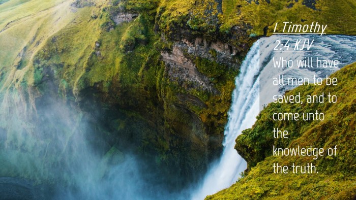Picture 04 - 1 Timothy 2:4 KJV Desktop Wallpaper - Who will have all men to be saved, and to come - Desktop Bible Verse Wallpaper