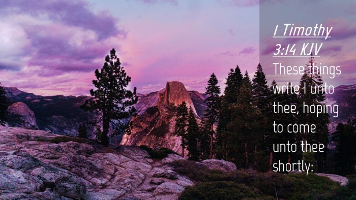 Picture 04 - 1 Timothy 3:14 KJV Desktop Wallpaper - These things write I unto thee, hoping to come - Desktop Bible Verse Wallpaper
