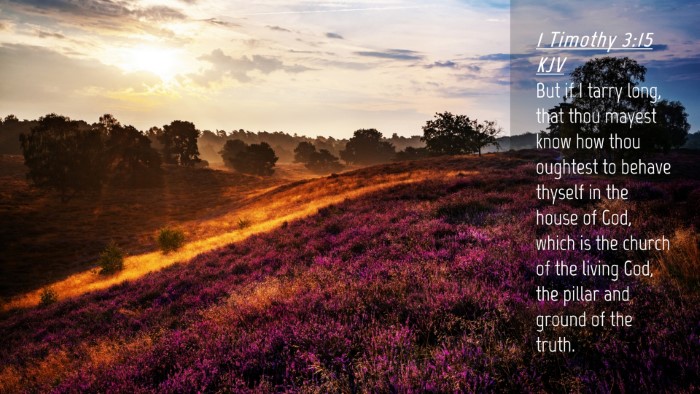 Picture 04 - 1 Timothy 3:15 KJV Desktop Wallpaper - But if I tarry long, that thou mayest know how - Desktop Bible Verse Wallpaper