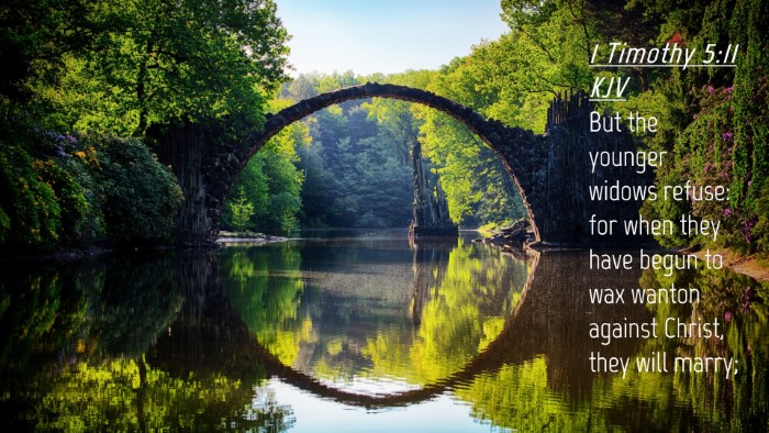 Picture 04 - 1 Timothy 5:11 KJV Desktop Wallpaper - But the younger widows refuse: for when they have - Desktop Bible Verse Wallpaper