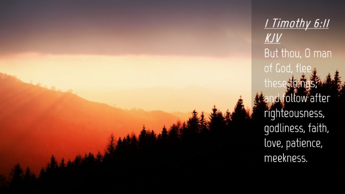 Picture 04 - 1 Timothy 6:11 KJV Desktop Wallpaper - But thou, O man of God, flee these things; and - Desktop Bible Verse Wallpaper