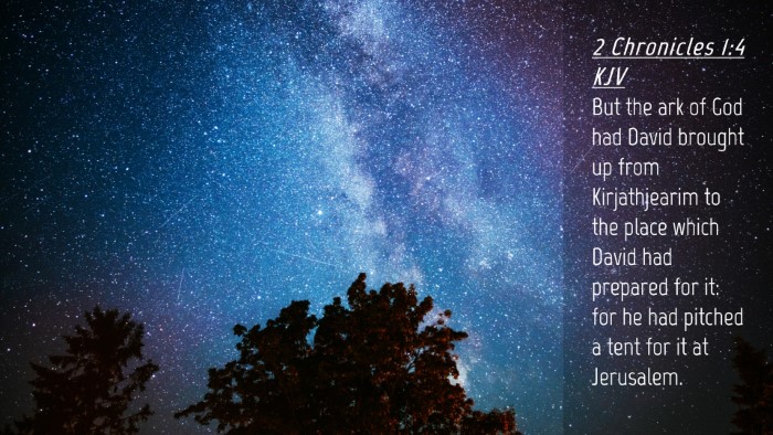 Picture 04 - 2 Chronicles 1:4 KJV Desktop Wallpaper - But the ark of God had David brought up from - Desktop Bible Verse Wallpaper