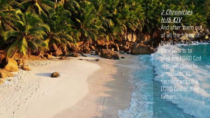 Picture 04 - 2 Chronicles 11:16 KJV Desktop Wallpaper - And after them out of all the tribes of Israel - Desktop Bible Verse Wallpaper