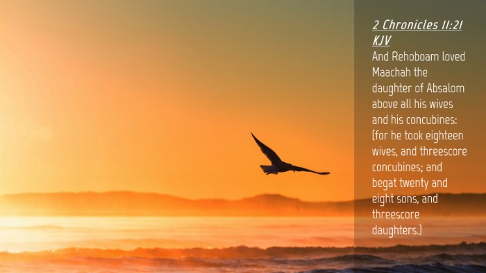 Picture 04 - 2 Chronicles 11:21 KJV Desktop Wallpaper - And Rehoboam loved Maachah the daughter of - Desktop Bible Verse Wallpaper