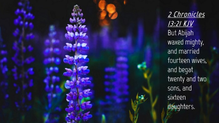 Picture 04 - 2 Chronicles 13:21 KJV Desktop Wallpaper - But Abijah waxed mighty, and married fourteen - Desktop Bible Verse Wallpaper