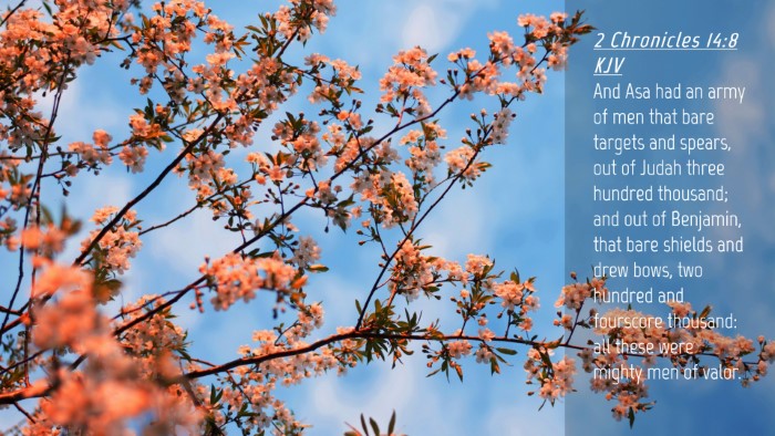 Picture 04 - 2 Chronicles 14:8 KJV Desktop Wallpaper - And Asa had an army of men that bare targets and - Desktop Bible Verse Wallpaper