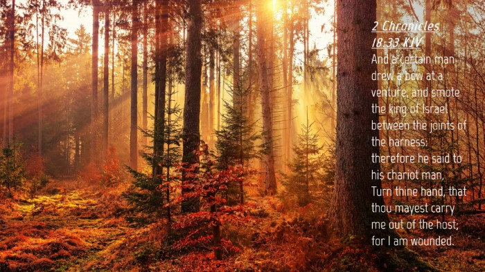 Picture 04 - 2 Chronicles 18:33 KJV Desktop Wallpaper - And a certain man drew a bow at a venture, and - Desktop Bible Verse Wallpaper