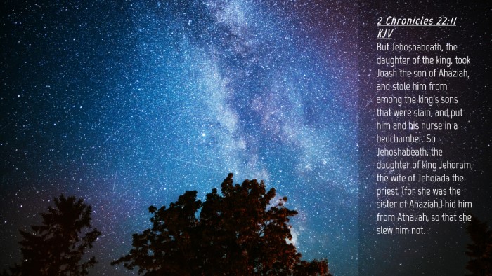 Picture 04 - 2 Chronicles 22:11 KJV Desktop Wallpaper - But Jehoshabeath, the daughter of the king, took - Desktop Bible Verse Wallpaper