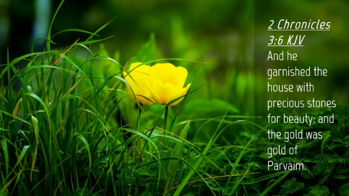 Picture 04 - 2 Chronicles 3:6 KJV Desktop Wallpaper - And he garnished the house with precious stones - Desktop Bible Verse Wallpaper