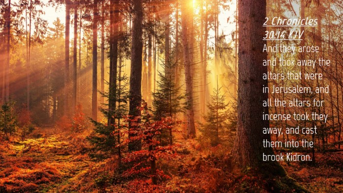Picture 04 - 2 Chronicles 30:14 KJV Desktop Wallpaper - And they arose and took away the altars that were - Desktop Bible Verse Wallpaper