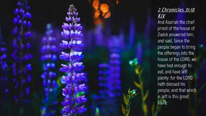 Picture 04 - 2 Chronicles 31:10 KJV Desktop Wallpaper - And Azariah the chief priest of the house of - Desktop Bible Verse Wallpaper
