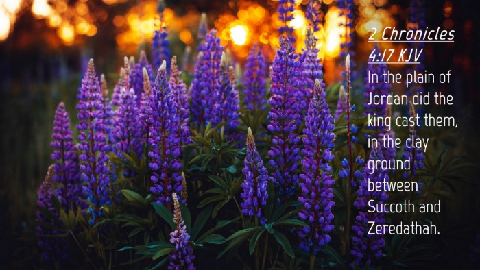 Picture 04 - 2 Chronicles 4:17 KJV Desktop Wallpaper - In the plain of Jordan did the king cast them, in - Desktop Bible Verse Wallpaper