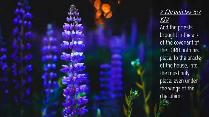 Picture 04 - 2 Chronicles 5:7 KJV Desktop Wallpaper - And the priests brought in the ark of the - Desktop Bible Verse Wallpaper
