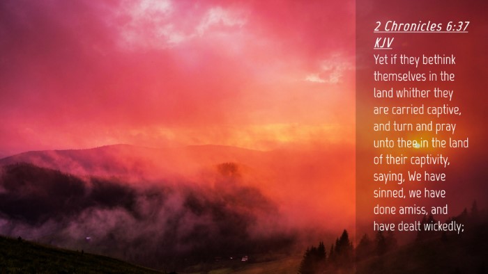 Picture 04 - 2 Chronicles 6:37 KJV Desktop Wallpaper - Yet if they bethink themselves in the land - Desktop Bible Verse Wallpaper