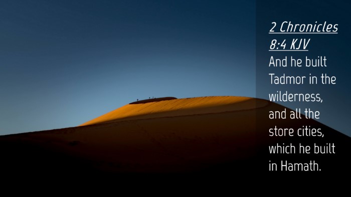 Picture 04 - 2 Chronicles 8:4 KJV Desktop Wallpaper - And he built Tadmor in the wilderness, and all - Desktop Bible Verse Wallpaper