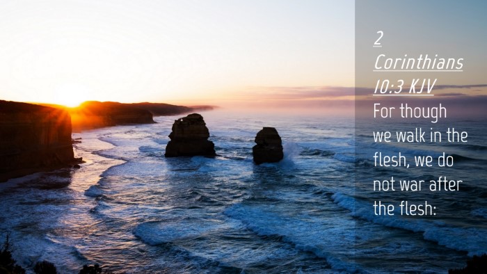 Picture 04 - 2 Corinthians 10:3 KJV Desktop Wallpaper - For though we walk in the flesh, we do not war - Desktop Bible Verse Wallpaper