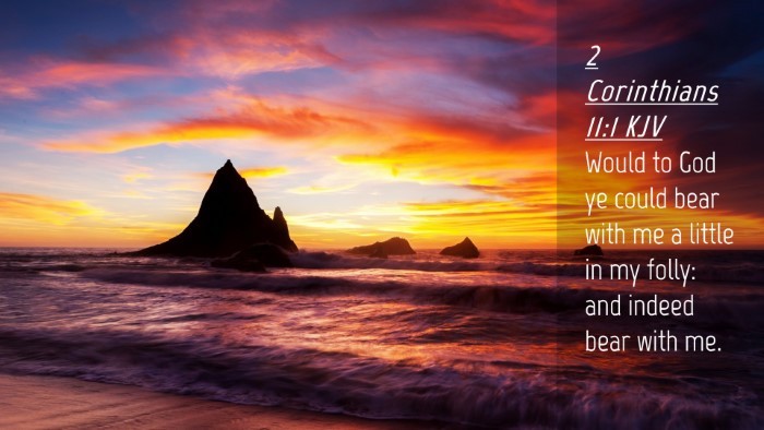 Picture 04 - 2 Corinthians 11:1 KJV Desktop Wallpaper - Would to God ye could bear with me a little in my - Desktop Bible Verse Wallpaper