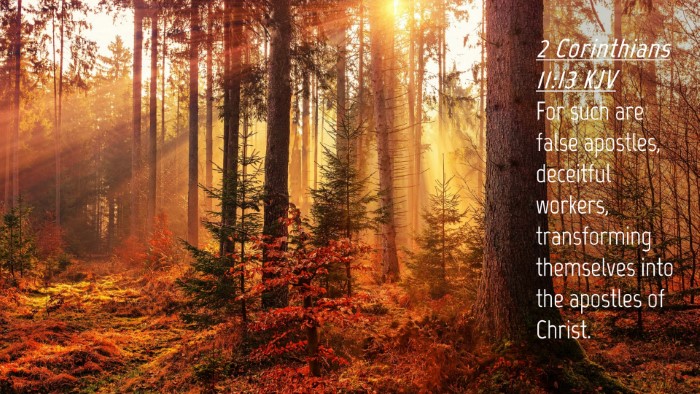 Picture 04 - 2 Corinthians 11:13 KJV Desktop Wallpaper - For such are false apostles, deceitful workers, - Desktop Bible Verse Wallpaper