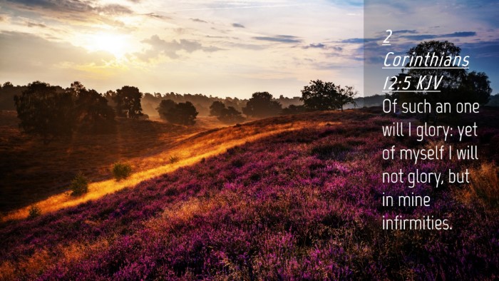 Picture 04 - 2 Corinthians 12:5 KJV Desktop Wallpaper - Of such an one will I glory: yet of myself I will - Desktop Bible Verse Wallpaper