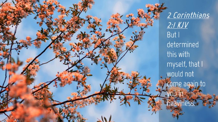 Picture 04 - 2 Corinthians 2:1 KJV Desktop Wallpaper - But I determined this with myself, that I would - Desktop Bible Verse Wallpaper