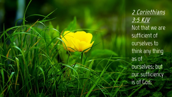 Picture 04 - 2 Corinthians 3:5 KJV Desktop Wallpaper - Not that we are sufficient of ourselves to think - Desktop Bible Verse Wallpaper