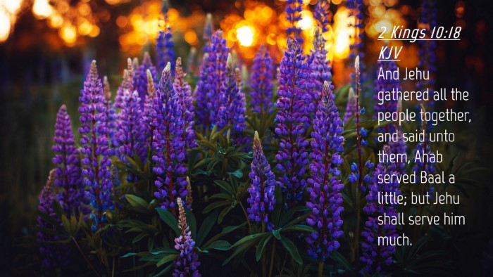 Picture 04 - 2 Kings 10:18 KJV Desktop Wallpaper - And Jehu gathered all the people together, and - Desktop Bible Verse Wallpaper