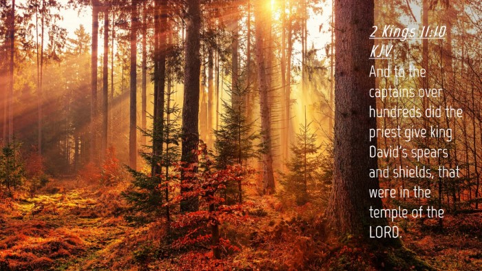 Picture 04 - 2 Kings 11:10 KJV Desktop Wallpaper - And to the captains over hundreds did the priest - Desktop Bible Verse Wallpaper