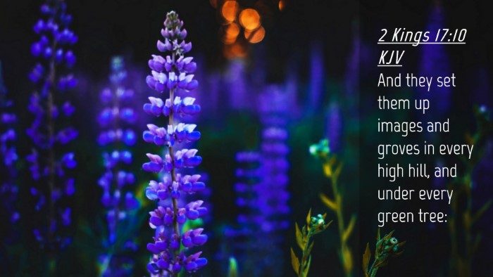 Picture 04 - 2 Kings 17:10 KJV Desktop Wallpaper - And they set them up images and groves in every - Desktop Bible Verse Wallpaper