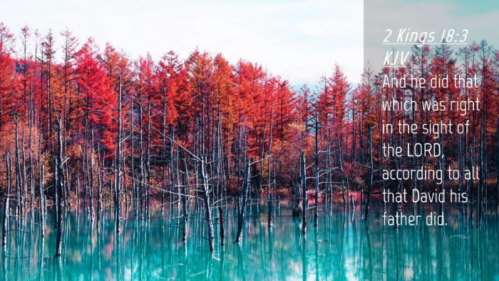 Picture 04 - 2 Kings 18:3 KJV Desktop Wallpaper - And he did that which was right in the sight of - Desktop Bible Verse Wallpaper