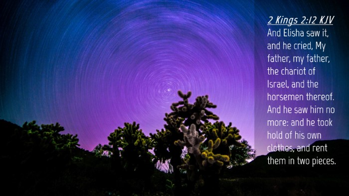Picture 04 - 2 Kings 2:12 KJV Desktop Wallpaper - And Elisha saw it, and he cried, My father, my - Desktop Bible Verse Wallpaper