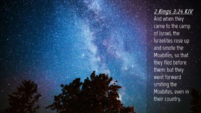 Picture 04 - 2 Kings 3:24 KJV Desktop Wallpaper - And when they came to the camp of Israel, the - Desktop Bible Verse Wallpaper