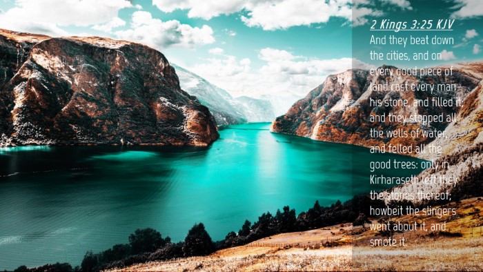 Picture 04 - 2 Kings 3:25 KJV Desktop Wallpaper - And they beat down the cities, and on every good - Desktop Bible Verse Wallpaper