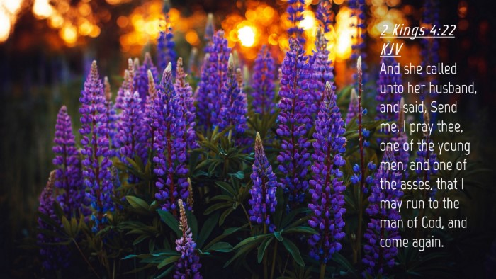 Picture 04 - 2 Kings 4:22 KJV Desktop Wallpaper - And she called unto her husband, and said, Send - Desktop Bible Verse Wallpaper