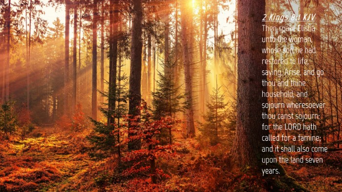 Picture 04 - 2 Kings 8:1 KJV Desktop Wallpaper - Then spake Elisha unto the woman, whose son he - Desktop Bible Verse Wallpaper