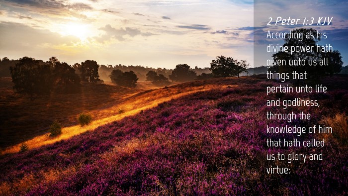 Picture 04 - 2 Peter 1:3 KJV Desktop Wallpaper - According as his divine power hath given unto us - Desktop Bible Verse Wallpaper