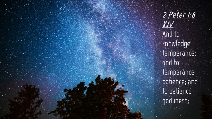Picture 04 - 2 Peter 1:6 KJV Desktop Wallpaper - And to knowledge temperance; and to temperance - Desktop Bible Verse Wallpaper
