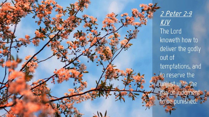 Picture 04 - 2 Peter 2:9 KJV Desktop Wallpaper - The Lord knoweth how to deliver the godly out of - Desktop Bible Verse Wallpaper