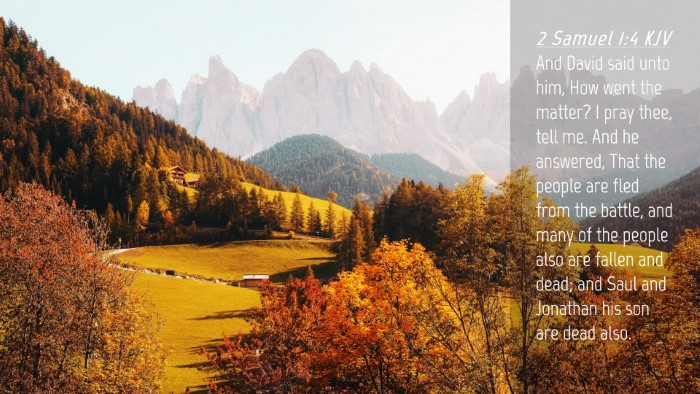 Picture 04 - 2 Samuel 1:4 KJV Desktop Wallpaper - And David said unto him, How went the matter? I - Desktop Bible Verse Wallpaper