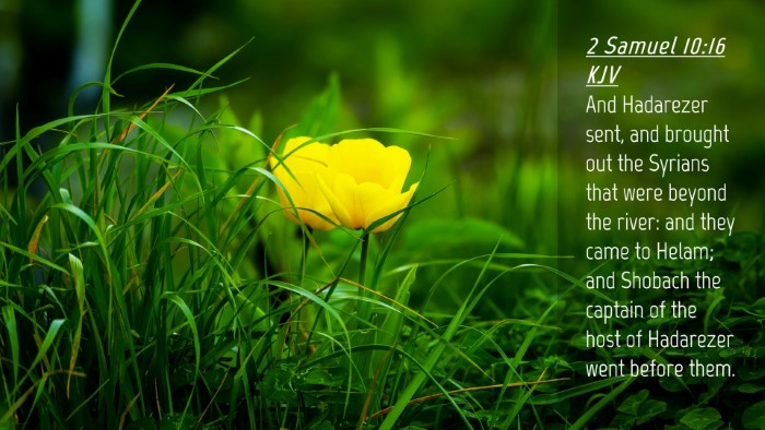 Picture 04 - 2 Samuel 10:16 KJV Desktop Wallpaper - And Hadarezer sent, and brought out the Syrians - Desktop Bible Verse Wallpaper