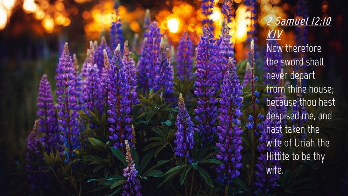 Picture 04 - 2 Samuel 12:10 KJV Desktop Wallpaper - Now therefore the sword shall never depart from - Desktop Bible Verse Wallpaper