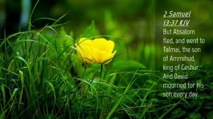Picture 04 - 2 Samuel 13:37 KJV Desktop Wallpaper - But Absalom fled, and went to Talmai, the son of - Desktop Bible Verse Wallpaper