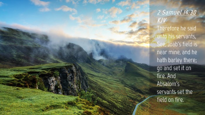 Picture 04 - 2 Samuel 14:30 KJV Desktop Wallpaper - Therefore he said unto his servants, See, Joab's - Desktop Bible Verse Wallpaper