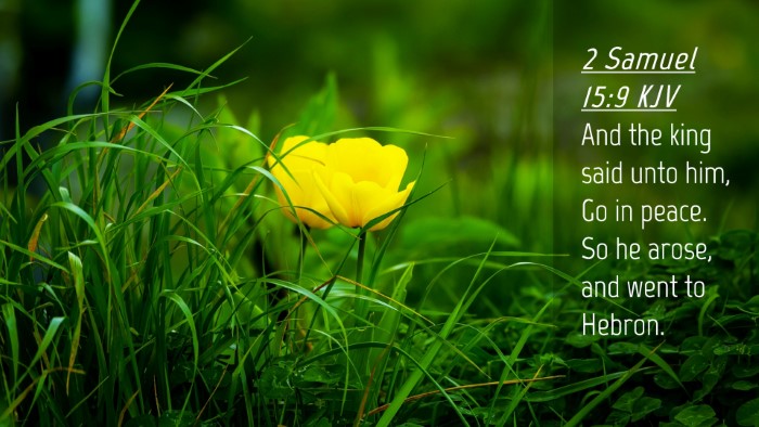 Picture 04 - 2 Samuel 15:9 KJV Desktop Wallpaper - And the king said unto him, Go in peace. So he - Desktop Bible Verse Wallpaper