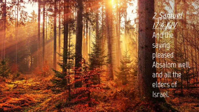 Picture 04 - 2 Samuel 17:4 KJV Desktop Wallpaper - And the saying pleased Absalom well, and all the - Desktop Bible Verse Wallpaper