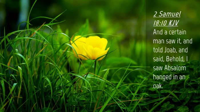 Picture 04 - 2 Samuel 18:10 KJV Desktop Wallpaper - And a certain man saw it, and told Joab, and - Desktop Bible Verse Wallpaper