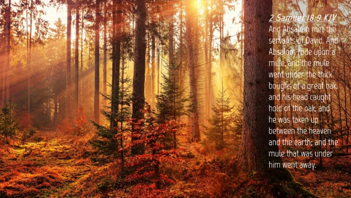Picture 04 - 2 Samuel 18:9 KJV Desktop Wallpaper - And Absalom met the servants of David. And - Desktop Bible Verse Wallpaper