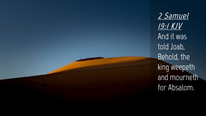Picture 04 - 2 Samuel 19:1 KJV Desktop Wallpaper - And it was told Joab, Behold, the king weepeth - Desktop Bible Verse Wallpaper